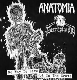 Anatomia : No Way to Live - Rot in the Grave